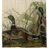 Mallard Duck van Audubon's Birds of America Showe Douchegordijn (Voorkant)
