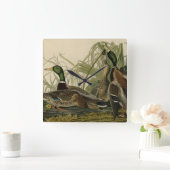 Mallard Duck van Audubon's Birds of America Vierkante Klok (Huis)