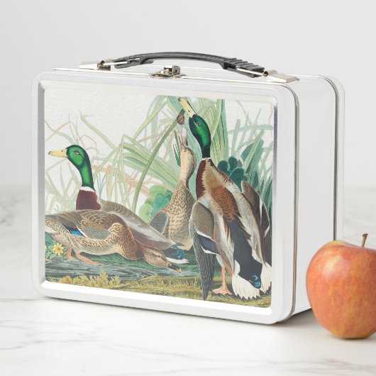 Mallard Duck van de vogels van Amerika (Audubon) (In situ)