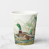 Mallard Duck van de vogels van Amerika (Audubon) Papieren Bekers (Voorkant)