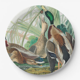 Mallard Duck van de vogels van Amerika (Audubon) Papieren Bordje