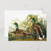 Mallard Duck van John James Audubon Bedankkaart (Voorkant / Achterkant)