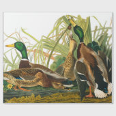 Mallard Duck van John James Audubon Cadeaupapier (Vlak)