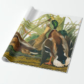 Mallard Duck van John James Audubon Cadeaupapier (Uitgerold)