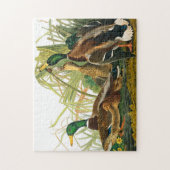 Mallard Duck van John James Audubon Legpuzzel (Verticaal)
