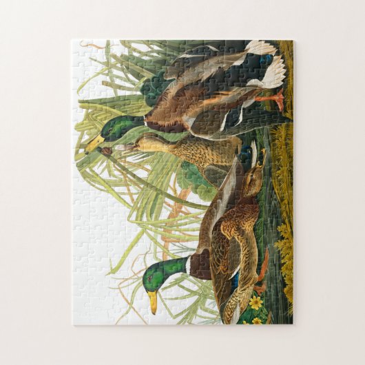Mallard Duck van John James Audubon Legpuzzel (Verticaal)