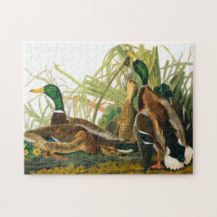 Mallard Duck van John James Audubon Legpuzzel