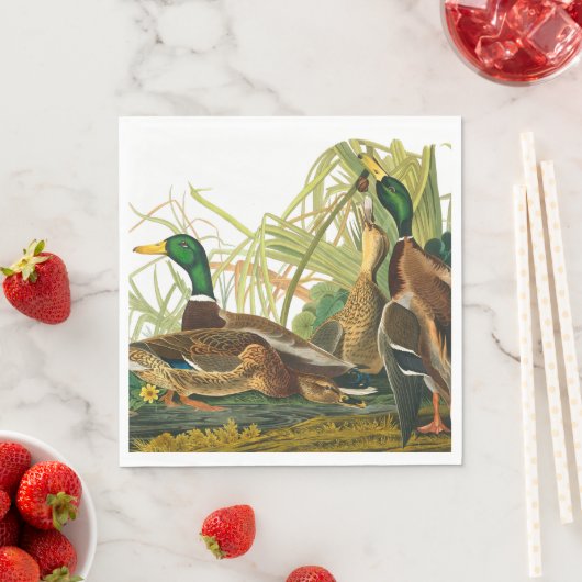 Mallard Duck van John James Audubon Servet (Insitu)