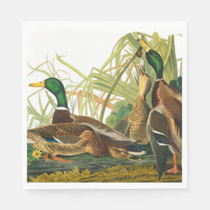 Mallard Duck van John James Audubon Servet