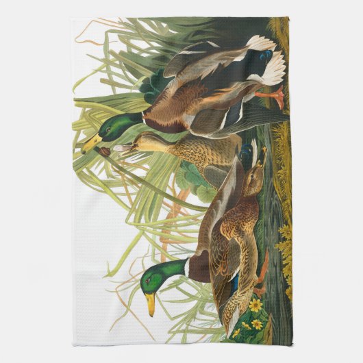 Mallard Duck van John James Audubon Theedoek (Verticaal)