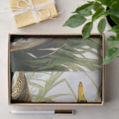 Mallard Duck van John James Audubon Tissuepapier (Geschenk)