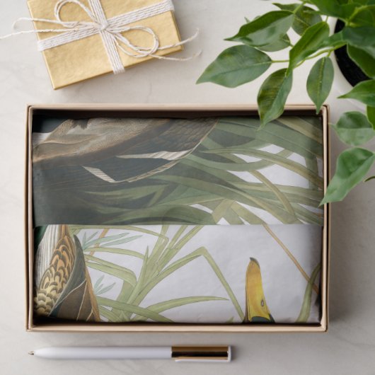 Mallard Duck van John James Audubon Tissuepapier (Geschenk)