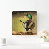 Mallard Duck Vierkante Klok (Huis)