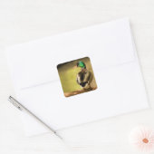 Mallard Duck Vierkante Sticker (Envelop)