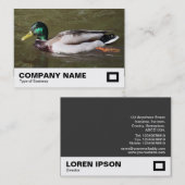Mallard Duck Visitekaartje (Voorkant / Achterkant)