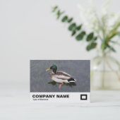 Mallard Duck Visitekaartje (Staand voorkant)