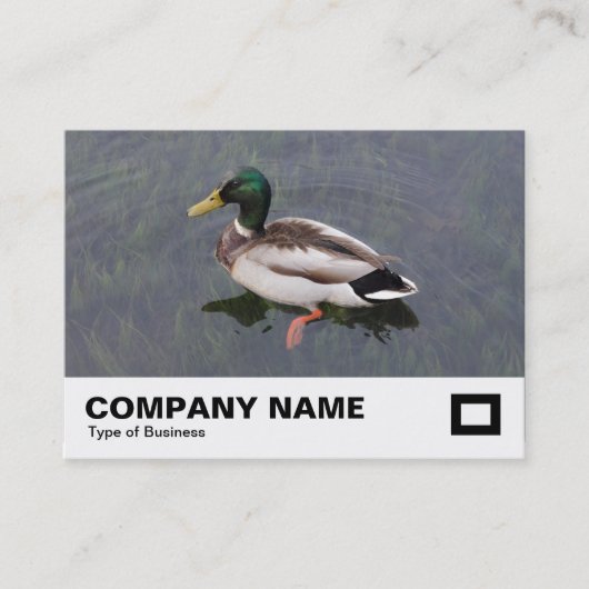 Mallard Duck Visitekaartje (Voorkant)