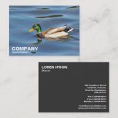 Mallard Duck Visitekaartje (Voorkant / Achterkant)