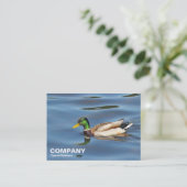 Mallard Duck Visitekaartje (Staand voorkant)