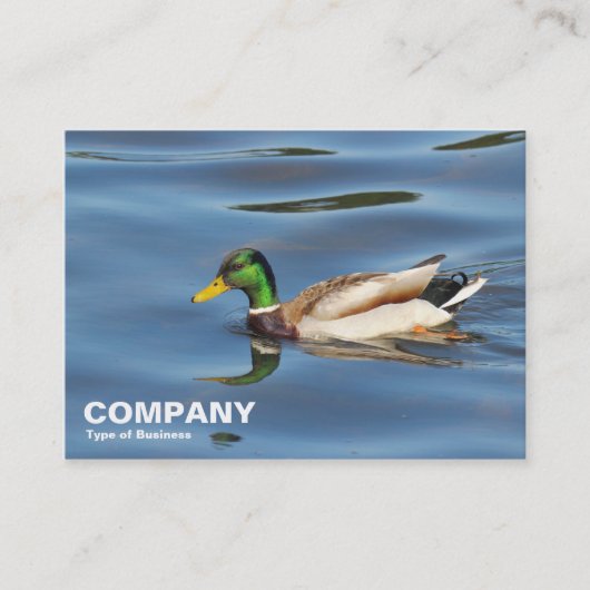 Mallard Duck Visitekaartje (Voorkant)