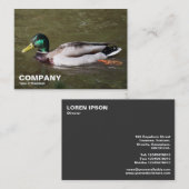 Mallard Duck Visitekaartje (Voorkant / Achterkant)