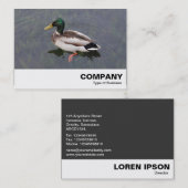 Mallard Duck Visitekaartje (Voorkant / Achterkant)