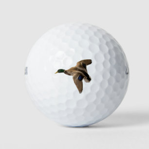 Mallard Duck Vliegende Natuur Bird Greenhead Manne Golfballen