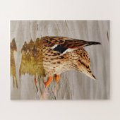 Mallard Duck voedt onderwater Legpuzzel (Horizontaal)