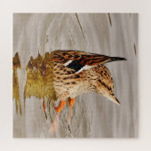 Mallard Duck voedt onderwater Legpuzzel (Horizontaal)