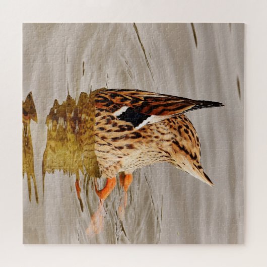 Mallard Duck voedt onderwater Legpuzzel (Horizontaal)