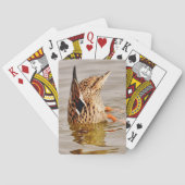 Mallard Duck voedt onderwater Pokerkaarten (Achterkant)
