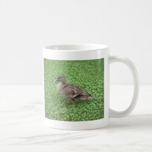 Mallard Duck Vrouw Foto Koffiemok (Rechts)