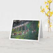 Mallard Duck Water Reflectie Portret Kaart (Gele Bloem)