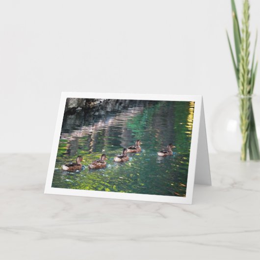 Mallard Duck Water Reflectie Portret Kaart (Voorkant)