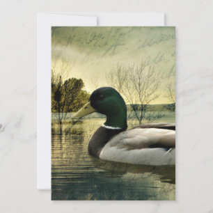 Mallard Duck Weathered Briefkaart