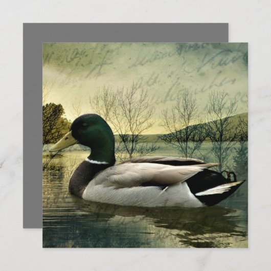  Mallard Duck Weathered Briefkaart (Voorkant / Achterkant)