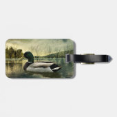  Mallard Duck Weathered Briefkaart Bagagelabel (Achterkant horizontaal)