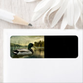  Mallard Duck Weathered Briefkaart Etiket (Insitu)
