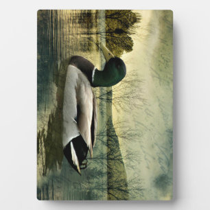 Mallard Duck Weathered Briefkaart Fotoplaat