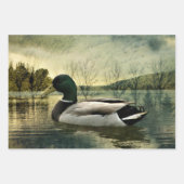  Mallard Duck Weathered Briefkaart Inpakpapier Vel (Voorkant 3)