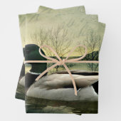  Mallard Duck Weathered Briefkaart Inpakpapier Vel (In situ)