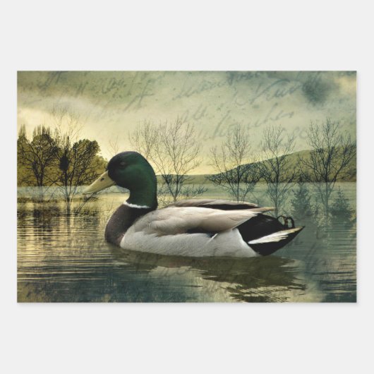 Mallard Duck Weathered Briefkaart Inpakpapier Vel (Voorkant)