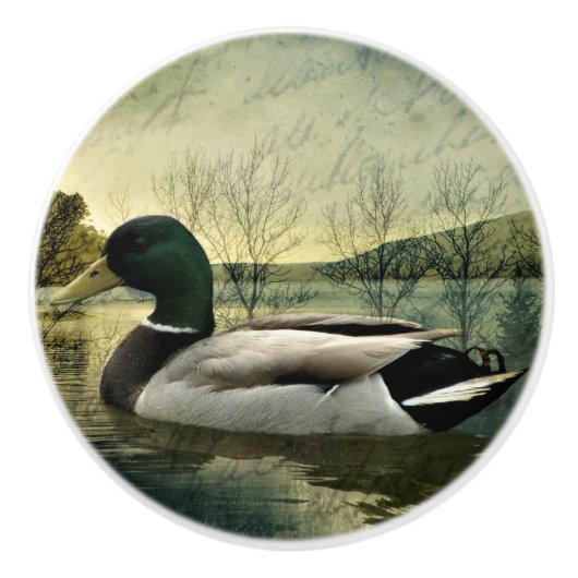  Mallard Duck Weathered Briefkaart Keramische Knop (Voorkant)