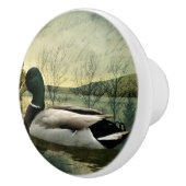  Mallard Duck Weathered Briefkaart Keramische Knop (Rechts)