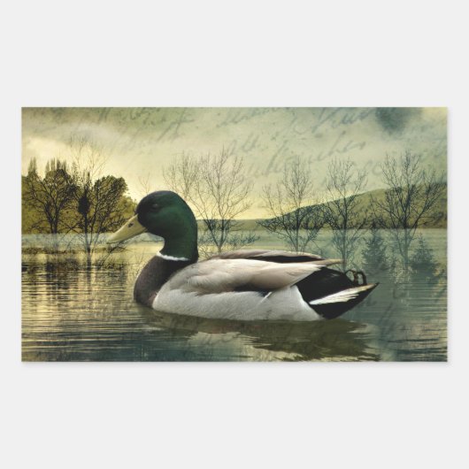  Mallard Duck Weathered Briefkaart Rechthoekige Sticker (Voorkant)