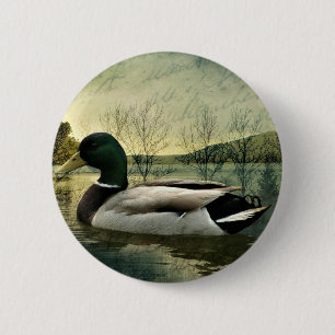 Mallard Duck Weathered Briefkaart Ronde Button 5,7 Cm