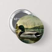  Mallard Duck Weathered Briefkaart Ronde Button 5,7 Cm (Voorkant /achterkant)