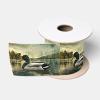 Mallard Duck Weathered Briefkaart