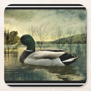  Mallard Duck Weathered Briefkaart Square Pap Kartonnen Onderzetters
