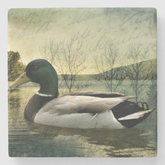 Mallard Duck Weathered Briefkaart Stenen Onderzetter